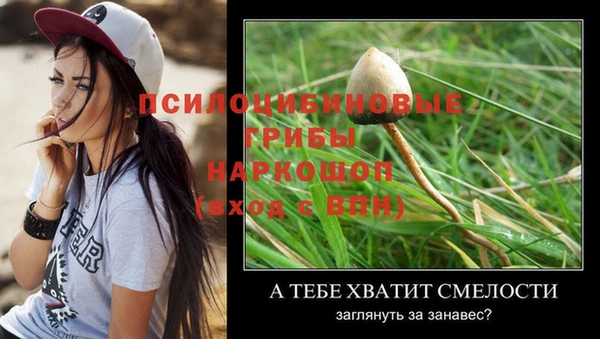 COCAINE Лихославль