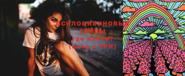 кокс Липки