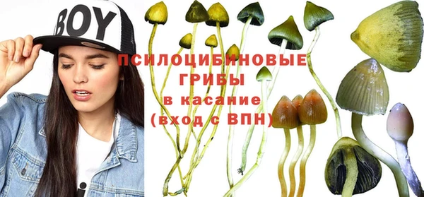 COCAINE Лихославль