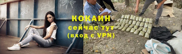 кокс Липки