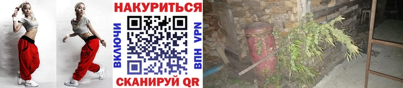 Конопля Bruce Banner  наркота  Фёдоровский 